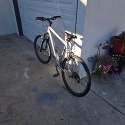 Specialized Mountain Bike 