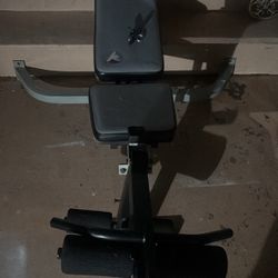 Bench And Weights 