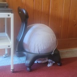 Yoga Ball Desk Chair