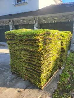 Sod For Sale