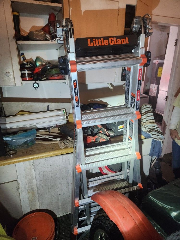 Ladder . Little Giant