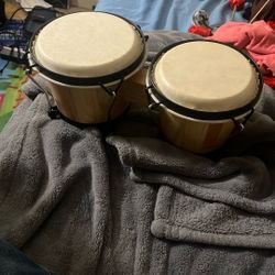 Bongos 