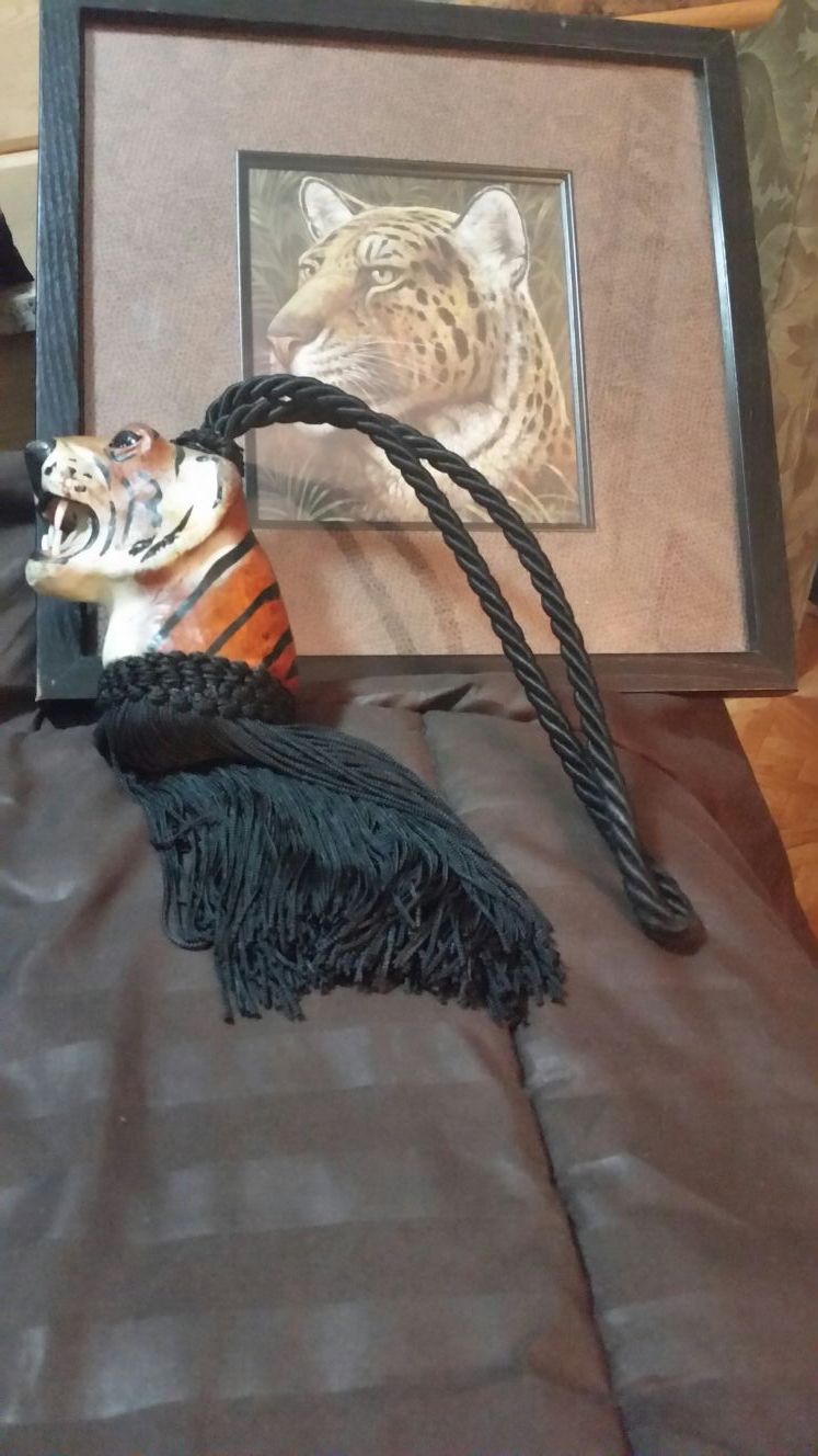 Tiger picture and tie back