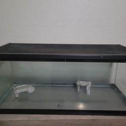 Two 20 Gallon Aquarium Tank