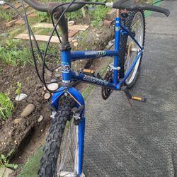 Motiv Mountain Bike - Backcountry 26"