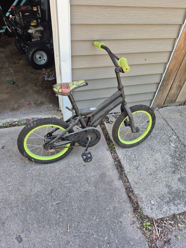 Ninja Turtle Bike