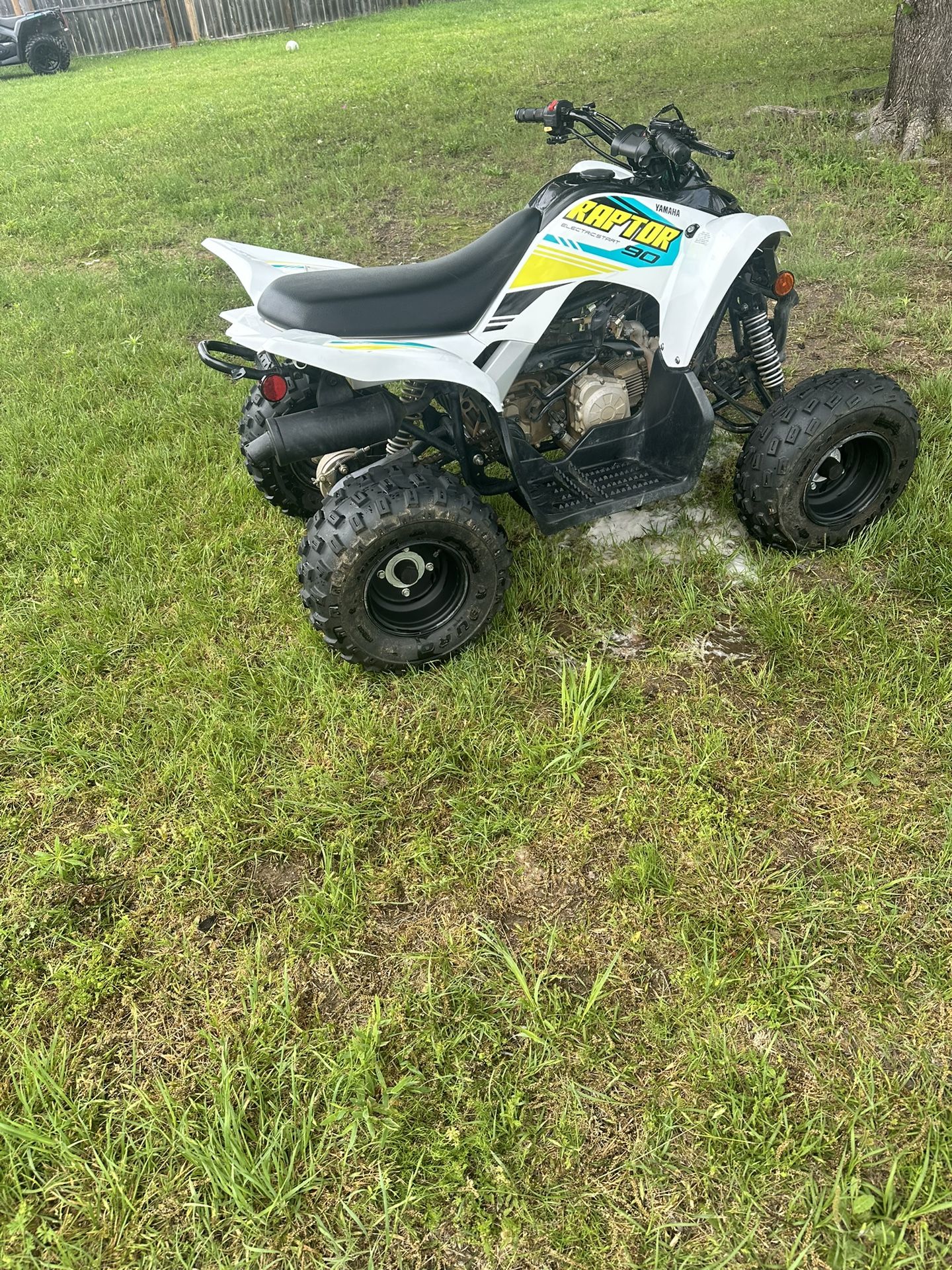 Yamaha Raptor