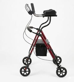 Upright walker 50.00
