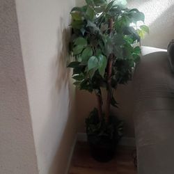 Nice  Artificial Plant 