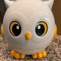 7x7 owl piggy bank