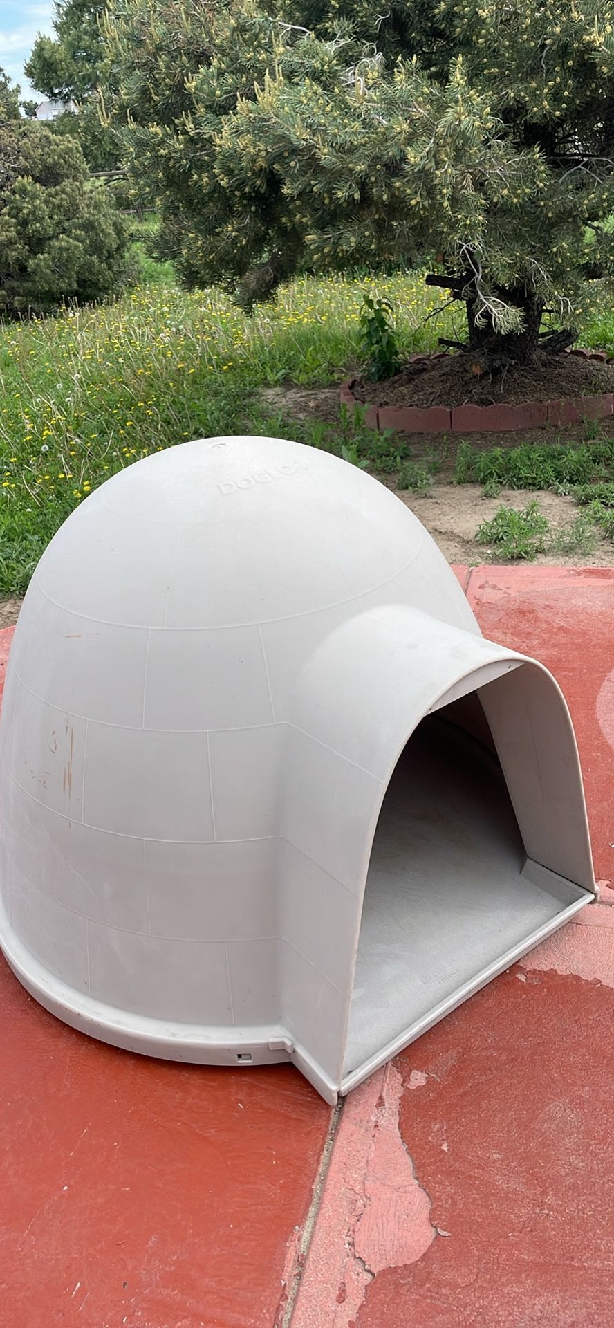 Petmate Dogloo Giant Petmate Dogloo With Microban Durable Outdoor - Main Image