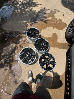 Mini cooper rims for sale!