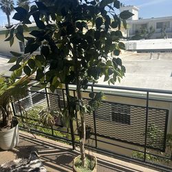 assortment of fake trees mid-century modern