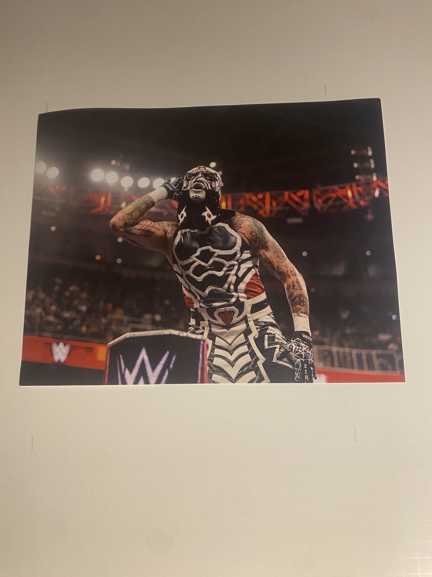 Penta 11X14 Photo