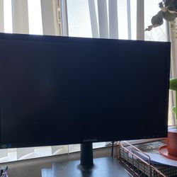 Computer Monitor 