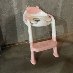 Potty training seat with stepstool ladder and anti-slip pad