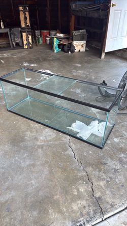 Large Glass Aquarium Tank with Black Frame
