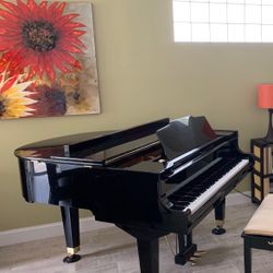 Weber Baby Grand Piano 5’1 