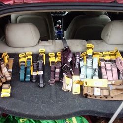 Carhartt Dog Leashes And Collars