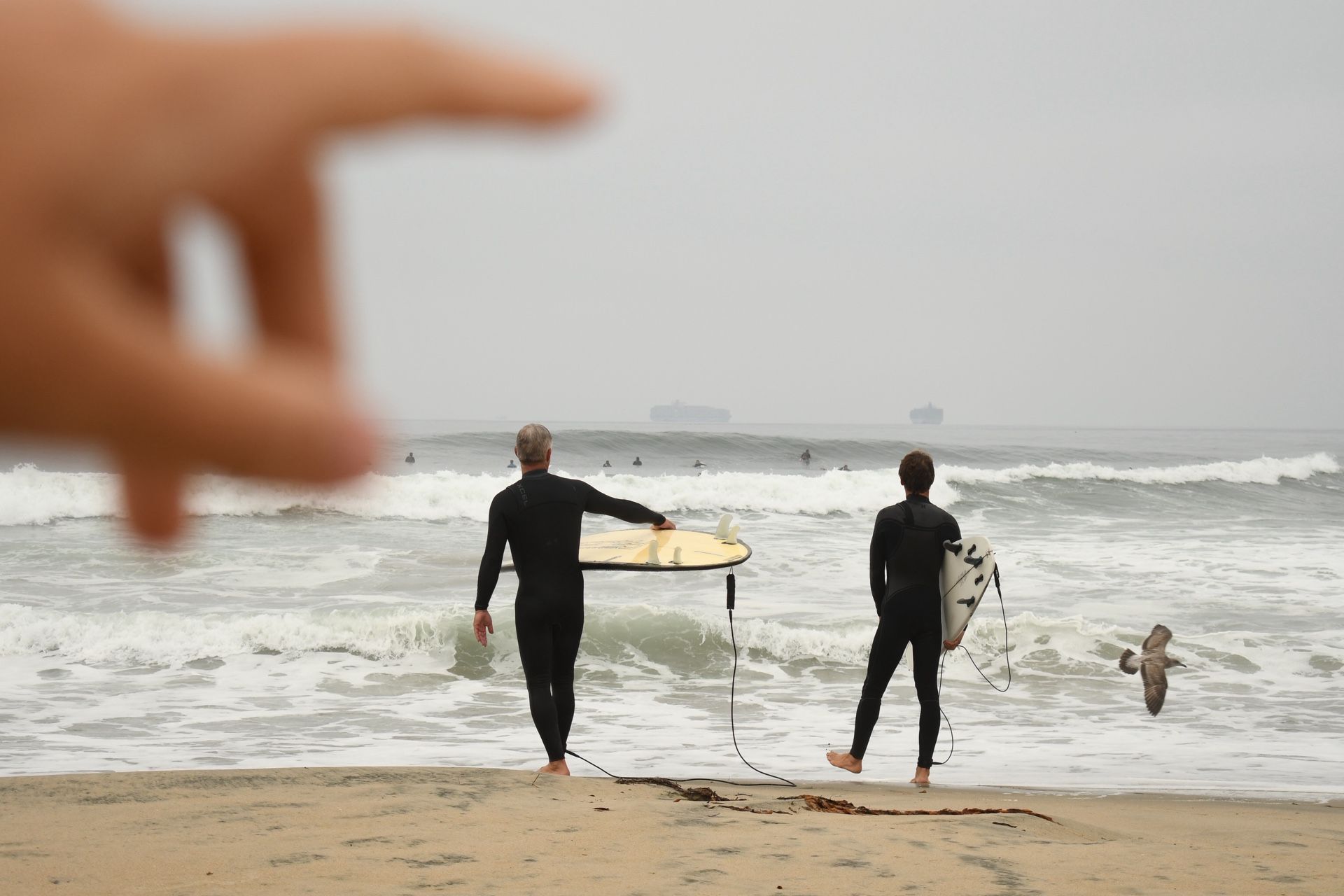 Nikon D7500 Digital Camera + 2 Lenses