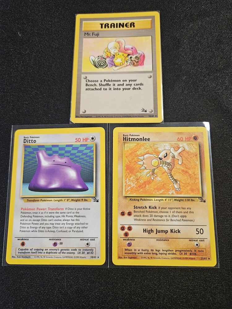 Fossil Set Pack