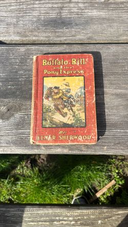 Buffalo Bill And The Honey Express Book