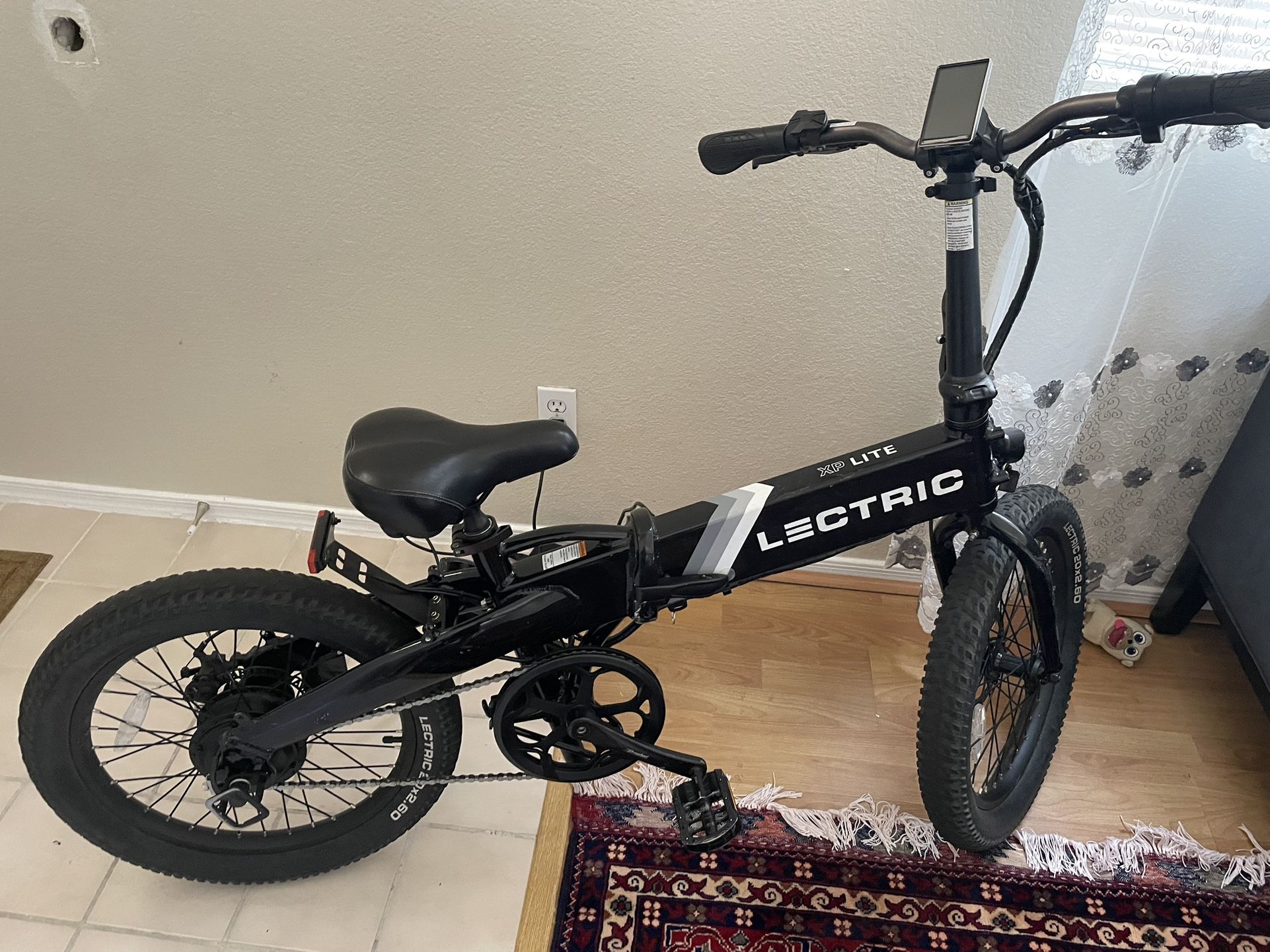 Lectric Bike