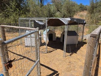 10x10x6 Steel Dog Kennel