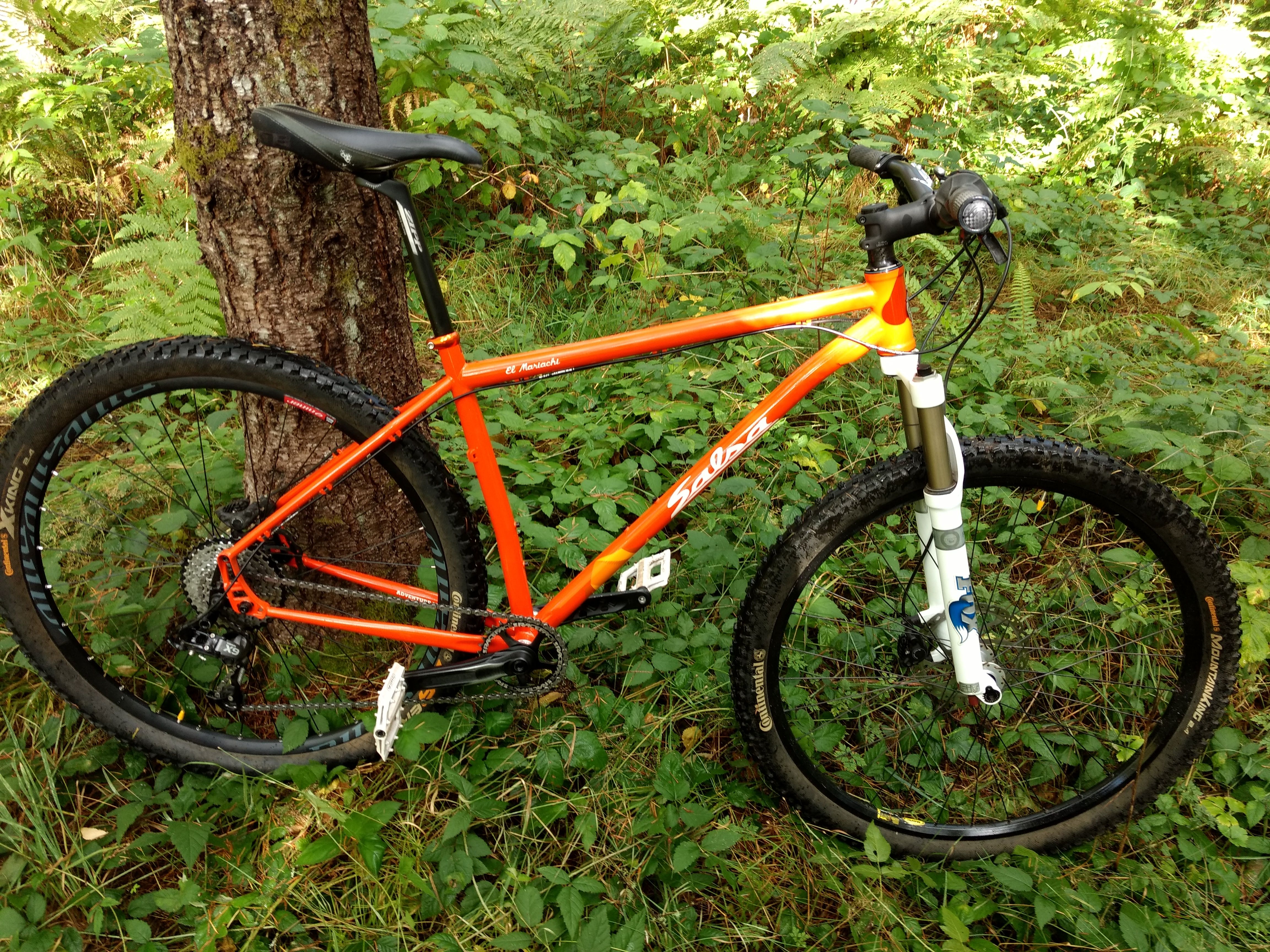Salsa El Mariachi 1x10 Bike Large L