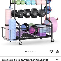 Weight Storage 