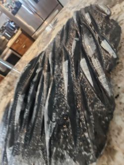 Fish Fossil !! Orthoceras Fossil Plate 20lb plate in limestone 350 million years old fish !