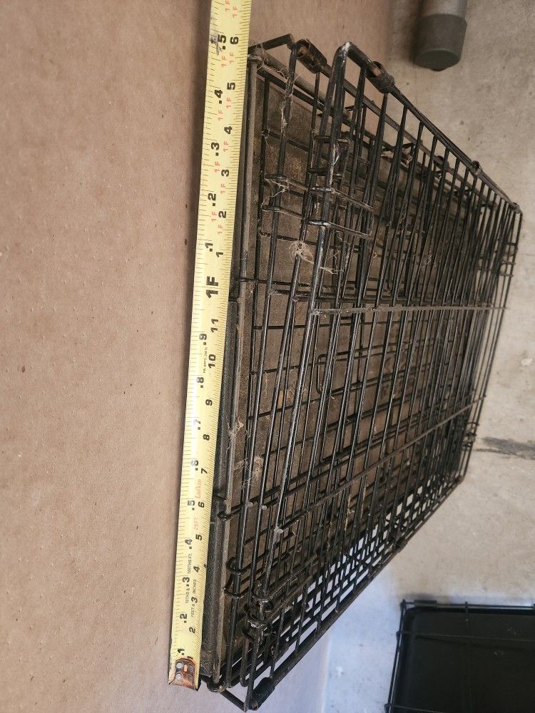 Large Dog Kennel