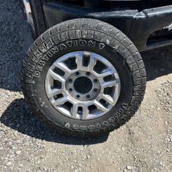 Rines De Venta 