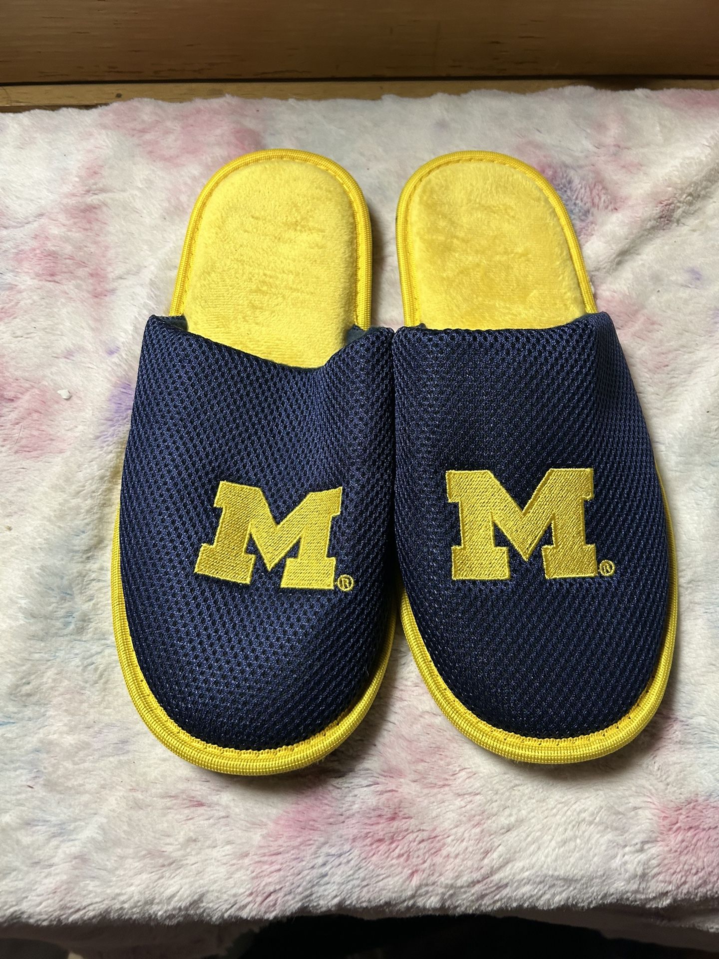 Michigan Size 11./12