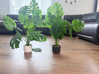 Artificial plants