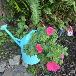 Self Planted Flower Pots