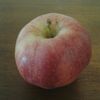 Apple Of My Eye