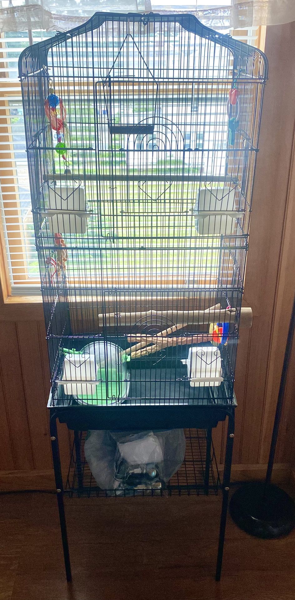 Bird Cage $40