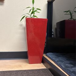 Red Ceramic Planter Pot