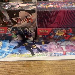Mega Evolutions/ Unova Mini Tin Display 