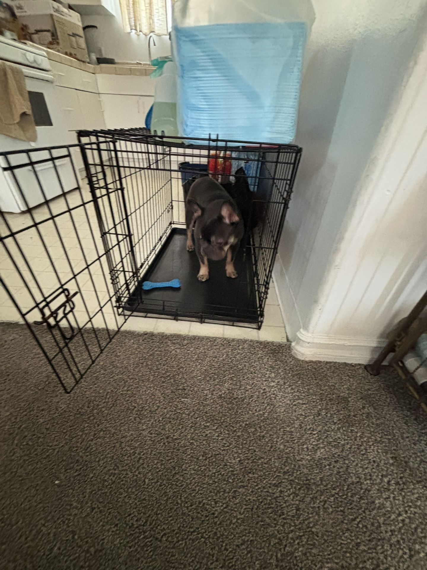 Cage