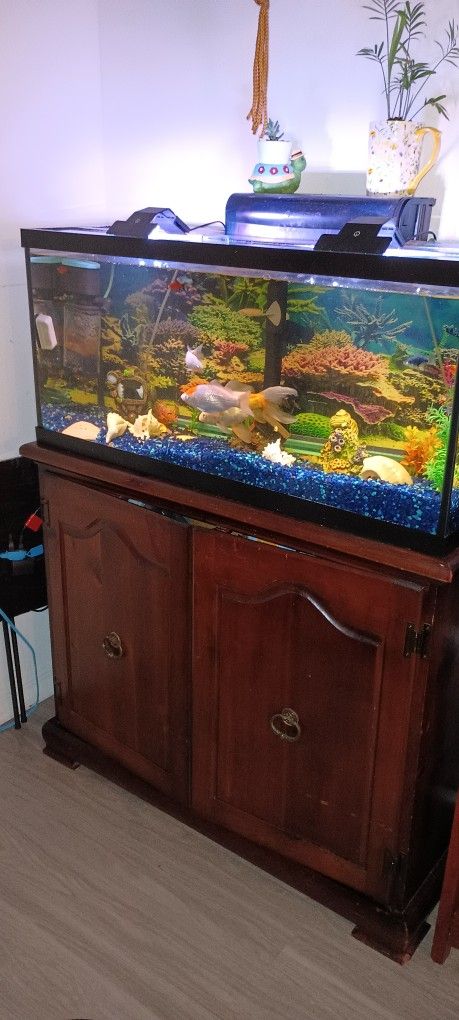 Acuario de 30 galones