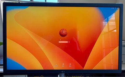LG 24” IPS 4K Thunderbolt Monitor 24MD4KL-B Mac