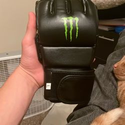 Monster mma Gloves