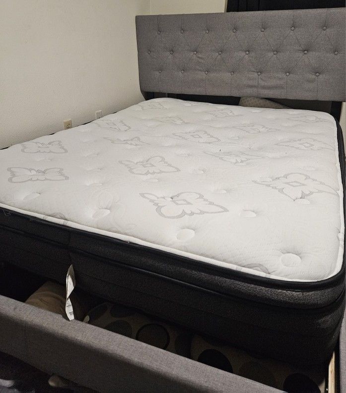 Queen Bed And Bed Frame