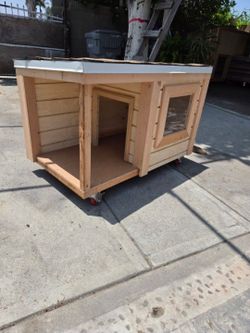 Dog House