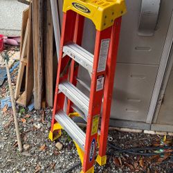 Werner Ladder 