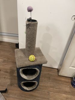 Cat Stuff