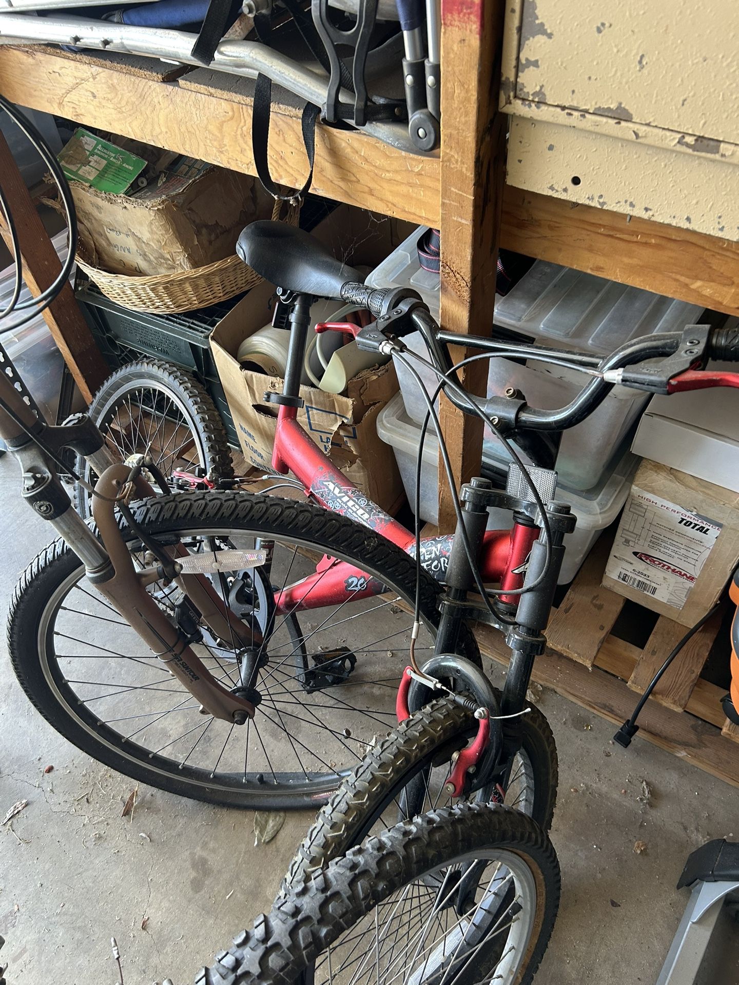 Bikes (3) - Globe, RockHopper, Avigo