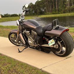 HD V Rod Muscle For Sale